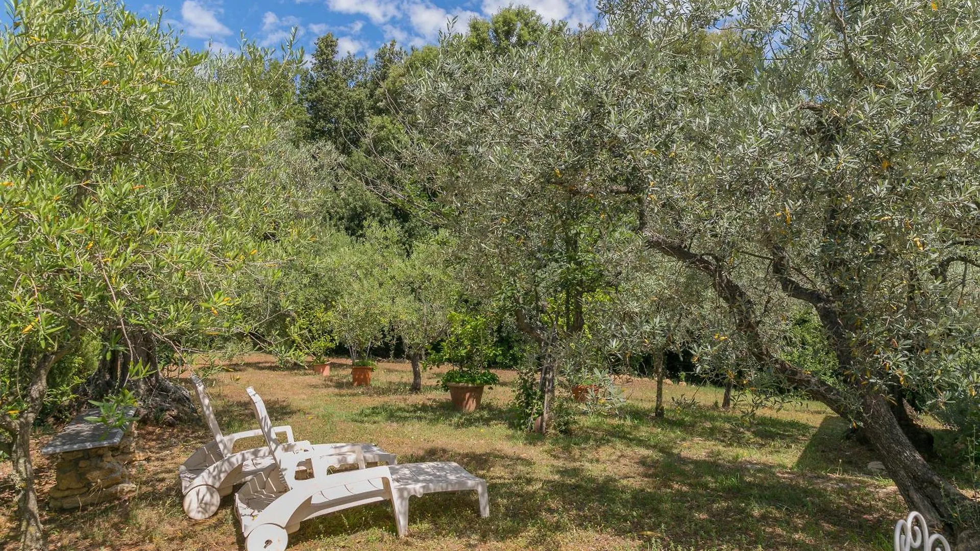 La Poggiolina In Toscana Guardistallo 0*,